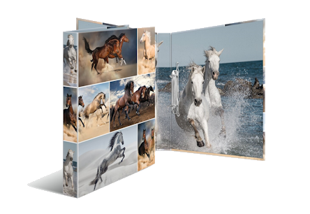 Ringband met paarden erop van HERMA