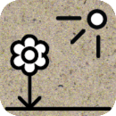 Silphie Illustratie Plant en Zon