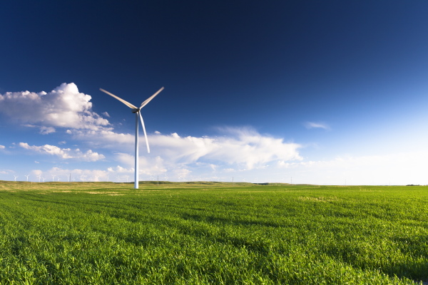 Veld met windmolen op de achtergrond