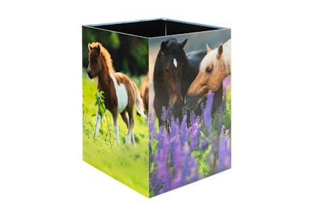 Een vierkant bakje met afbeeldingen van paarden die op een weiland staan en zich naar paarse bloemen toe bewegen.