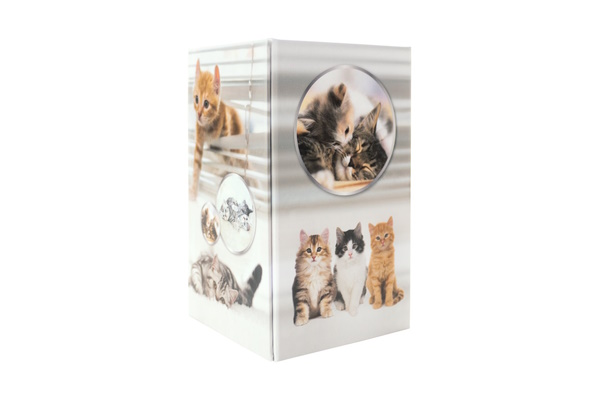 Afbeelding van een pennenhouder met kattenmotief