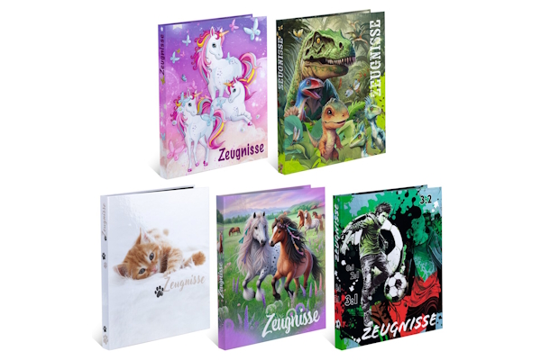 Zes schoolschriften met verschillende kleurrijke omslagen, waaronder eenhoorns, dinosaurussen, katten, paarden en voetbal.