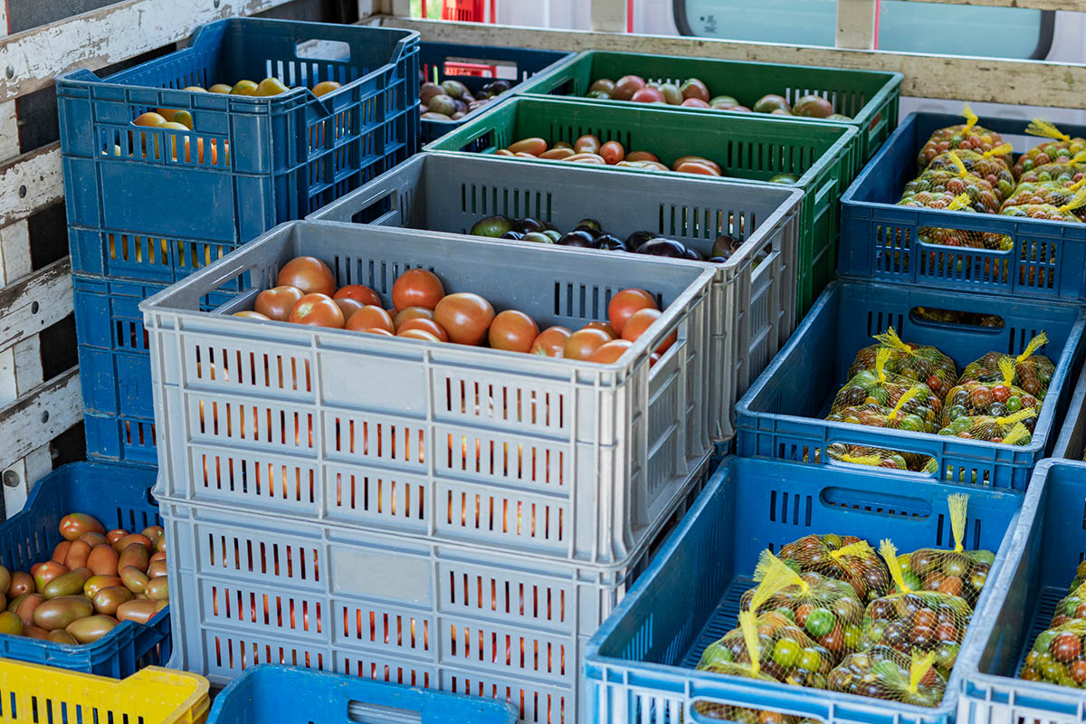 Gekleurde gestapelde herbruikbare containers met groenten, ideaal voor transport en te labelen met afwasbare etiketten.