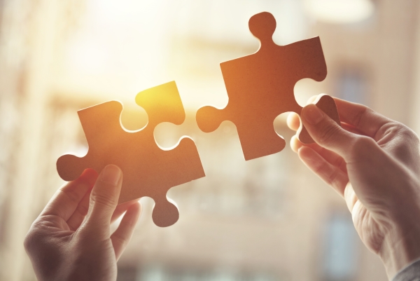 Icon Puzzelstukken voor Website Oplossingen