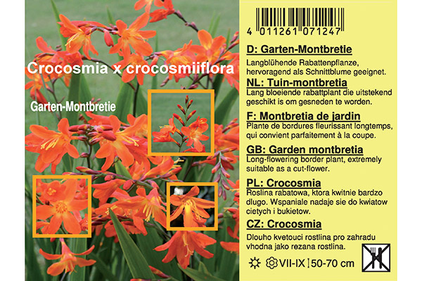 Farbinkjet-rollenlabels: Voorbeeld van een bedrukt etiket voor Montbretia-zaden