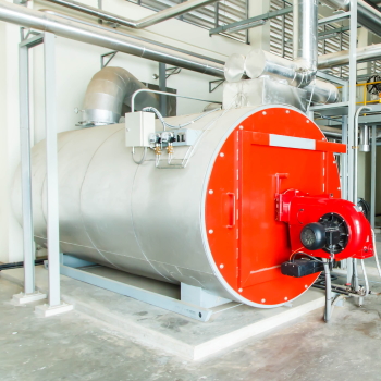 Duurzame etiketten: Steam Explosion methode voor vezelwinning uit silphieplanten