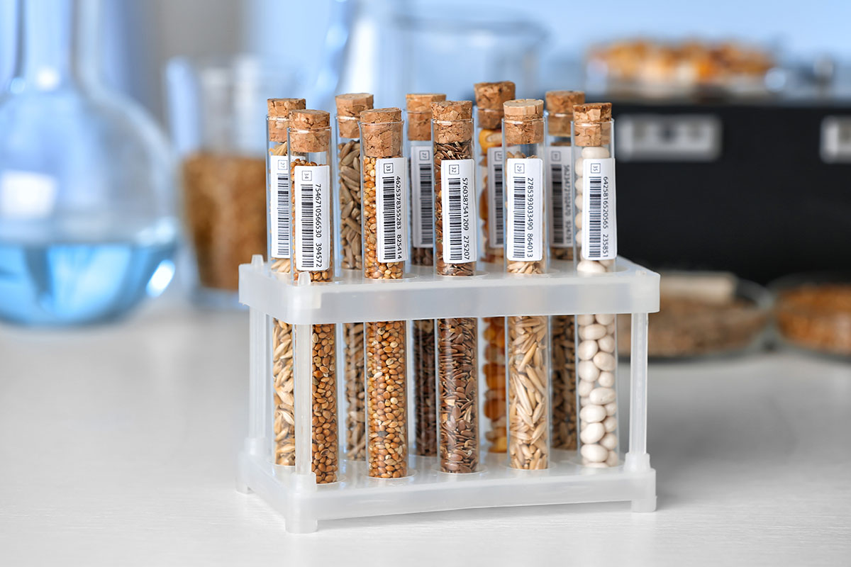 Rondlabeling: Etiketten met barcodes op reageerbuizen met zaden, in standaard
