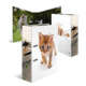 Kunststofmap met afbeeldingen van katten, één met een kitten die loopt en een andere met een kat buiten.