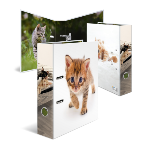 Kunststofmap met afbeeldingen van katten, één met een kitten die loopt en een andere met een kat buiten.