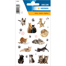Kattenstickers in verschillende poses en kleuren, inclusief kittens en volwassen katten, op een decoratieve achtergrond.