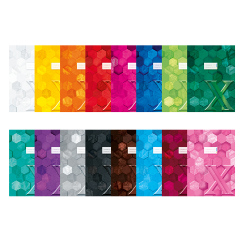 Eine Reihe von bunten Notizheften in verschiedenen Farben und Designs, angeordnet in zwei Reihen. Die Hefte haben hexagonale Muster und unterschiedliche Titel.