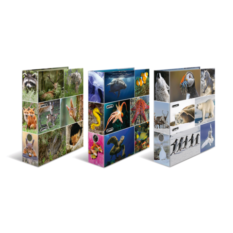 Drei aufgestellte Karten mit verschiedenen Tieren, darunter Säugetiere, Fische und Vögel, in lebendigen Bildern angeordnet.