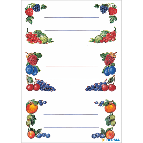 Bunte Obstillustrationen umrahmen leere Linien für Notizen oder Beschriftungen. Enthält Erdbeeren, Trauben, Kirschen und Pfirsiche.