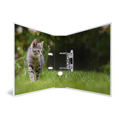 Een grijze kat loopt over groen gras, terwijl ze voor een open deur staat.