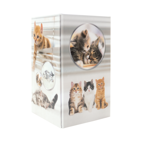 Eine Box mit Bildern von verschiedenen Katzen, darunter spielende und ruhende Kätzchen in verschiedenen Posen und Farben.