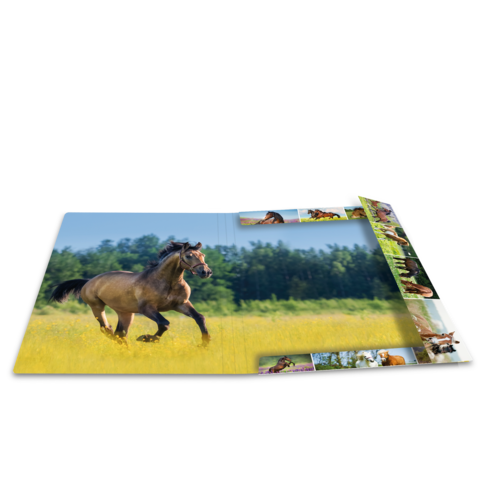 Ein braunes Pferd läuft über eine grüne Wiese, umgeben von Bäumen im Hintergrund. In der Ecke sind kleinere Bilder von Pferden zu sehen.