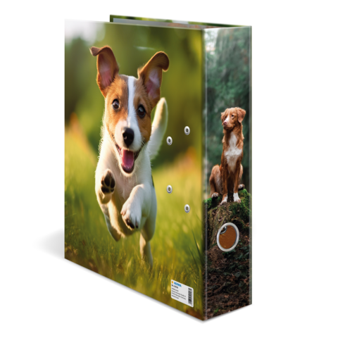 Een map met een rennende puppy op de voorkant en een zittende hond op de zijkant.