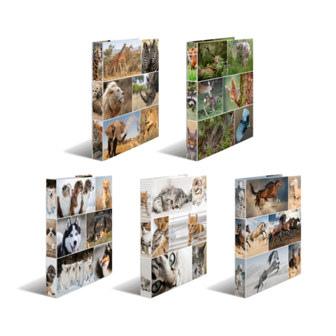 Eine Collage mit verschiedenen Tieren, darunter Löwen, Katzen, Hunde, Füchse und Giraffen, in mehreren Anordnungen und Perspektiven.