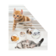 Kätzchen, das durch Jalousien schaut, umgeben von runden Bildern anderer Katzen in verschiedenen Posen.