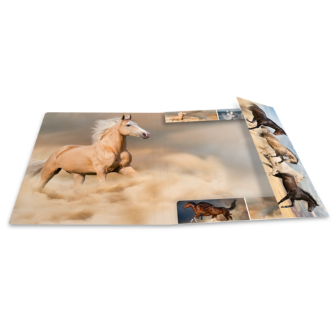 Ein offenes Buch mit Bildern von verschiedenen Pferden, darunter ein helles Pferd, das durch Sand läuft, und andere Pferde in verschiedenen Posen.