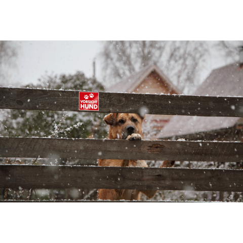 Ein Hund schaut über einen Holzzaun, während Schnee fällt. Ein Schild mit der Aufschrift "Vorsicht Hund" ist am Zaun befestigt.