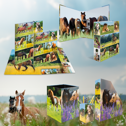 Verschillende schrijfwaren met paardenmotieven, waaronder notitieblokken, pennenhouders en een opklapbaar schrift, omringd door een groene weide.