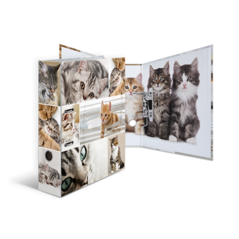 Ein Fotoalbum mit verschiedenen Katzenbildern auf der Außenseite und einer großen Aufnahme von drei Katzen auf der Innenseite.