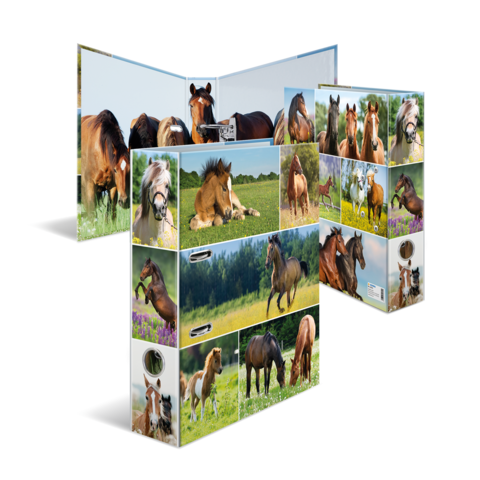 Eine dreidimensionale Präsentation mit verschiedenen Bildern von Pferden in verschiedenen Posen und Umgebungen, darunter grüne Wiesen und Blumen.