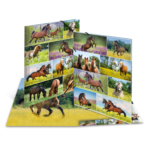 Ein aufgeschlagenes Fotobuch mit verschiedenen Bildern von Pferden in unterschiedlichen Posen und Landschaften.