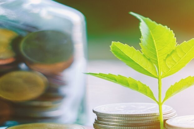 Munten met tak, beeldmotief voor HERMA Thinrange etiketten, liggend formaat