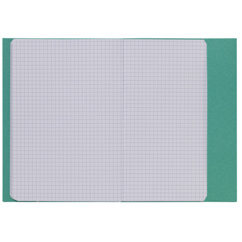 Ein offenes kariertes Notizbuch mit leeren Seiten, das auf einem grünen Hintergrund liegt.