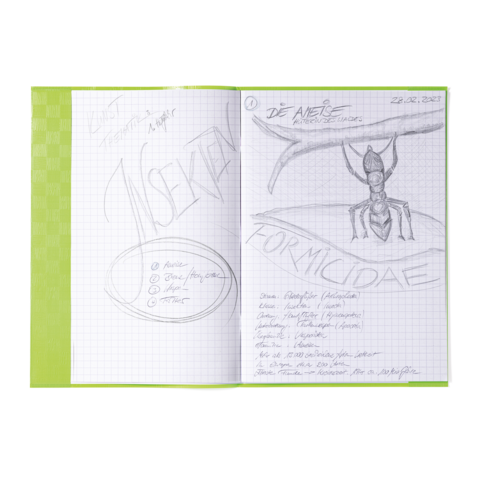 Notizbuchseite mit handschriftlichen Notizen über Ameisen, einschließlich einer Zeichnung einer Ameise und einer Liste von Themen.