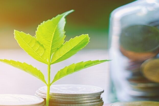 Munten met tak, beeldmotief voor 'Economisch etiketteren', liggend formaat