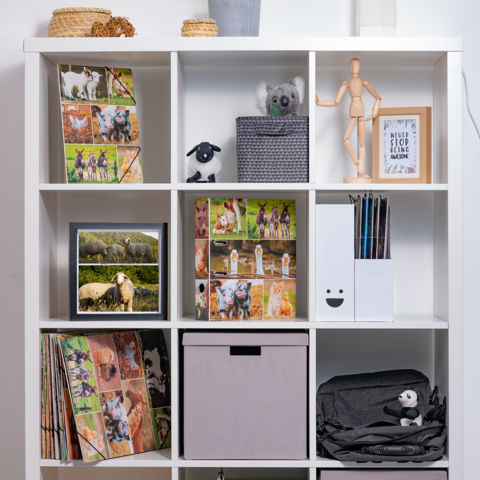 Regal mit verschiedenen Fächern, gefüllt mit Fotos von Tieren, einem Stofftier, einem Kasten und Schreibutensilien.