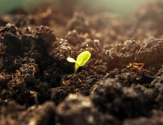 Duurzame etiketten: Kiemplant in de aarde, beeldmotief voor composteerbare etiketten