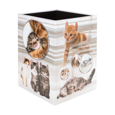 Ein quadratischer Behälter mit verschiedenen Katzenmotiven, darunter Bilder von Katzen, die sich umarmen und spielen.
