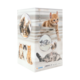 Kartonverpackung mit verschiedenen Katzenmotiven, darunter orangefarbene und graue Katzen, die in verschiedenen Posen dargestellt sind.