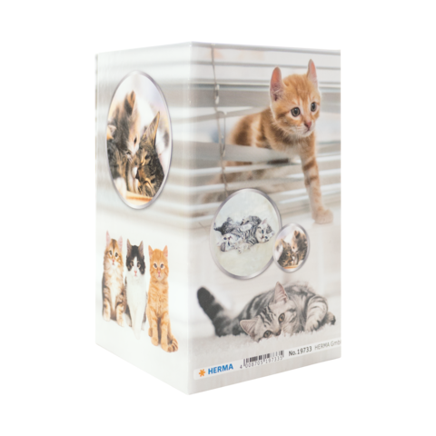 Kartonverpackung mit verschiedenen Katzenmotiven, darunter orangefarbene und graue Katzen, die in verschiedenen Posen dargestellt sind.