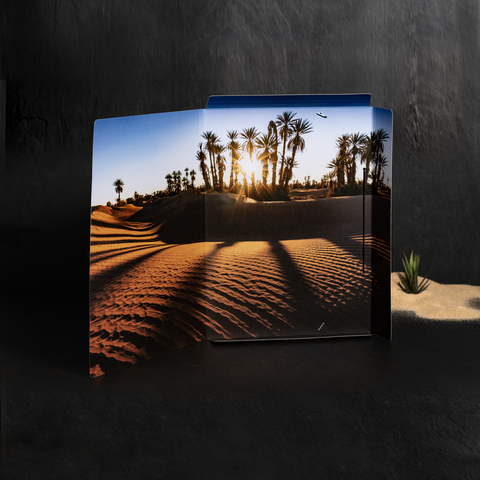 Eine Wüstenlandschaft mit Palmen und Sonnenuntergang, die sanften Sanddünen und Schatten zeigt.