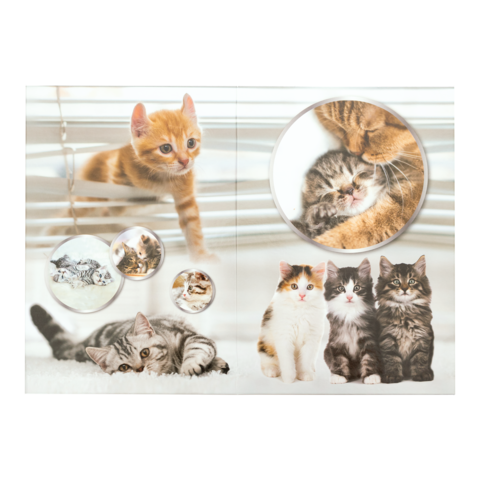 Katzen in verschiedenen Posen, darunter ein orangefarbener Kätzchen, eine Umarmung und Gruppenbilder von mehreren Katzen.