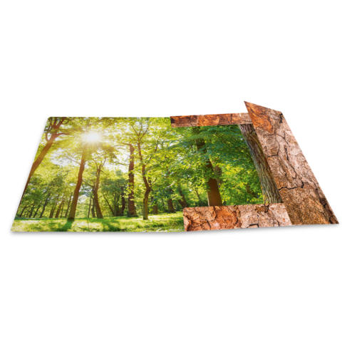 Ein aufgeschlagenes Buch mit einer Waldszene, die Sonnenstrahlen durch die Bäume zeigt, und einer Baumrinde als Hintergrund.