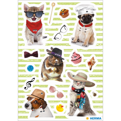 Katze en honden in verschillende grappige outfits en accessoires, waaronder zonnebrillen, hoeden en sjaals, op een gestreepte achtergrond.