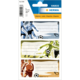 Etiketten mit Fußballmotiven in verschiedenen Farben und Platz für Beschriftungen. Verpackung enthält mehrere Etiketten.