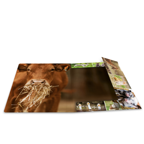 Kühe mit Heu im Maul, umgeben von Bildern anderer Tiere auf einer Matte.