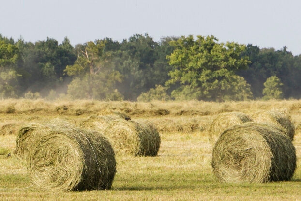 Grasetiketten - Weide met hooibalen, liggend formaat