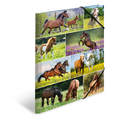 Eine Collage mit verschiedenen Pferden in unterschiedlichen Posen und Umgebungen, darunter Fohlen, reitende Pferde und grüne Wiesen.