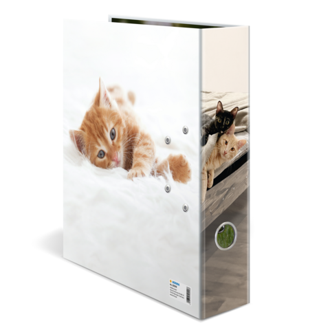 Een map met een afbeelding van twee katten, een oranje en een zwarte, die op een witte achtergrond liggen.