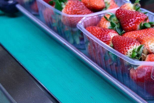 Aardbeien in een verpakkingsinstallatie in de voedingsmiddelenindustrie, liggend formaat.