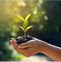 The translation of "Pflanze in Hand Kachel" from German to Dutch is "Plant in hand tegel." 

However, if this phrase is intended to convey a specific meaning or context, please provide more details for a more accurate translation.