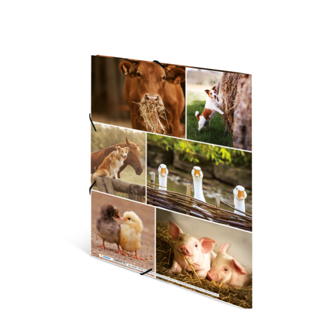 Eine Collage mit verschiedenen Tieren: ein Kalb, ein Hund, ein Pferd, Gänse, ein Küken und zwei Ferkel.